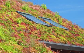 Clifton Maybank living roof systems